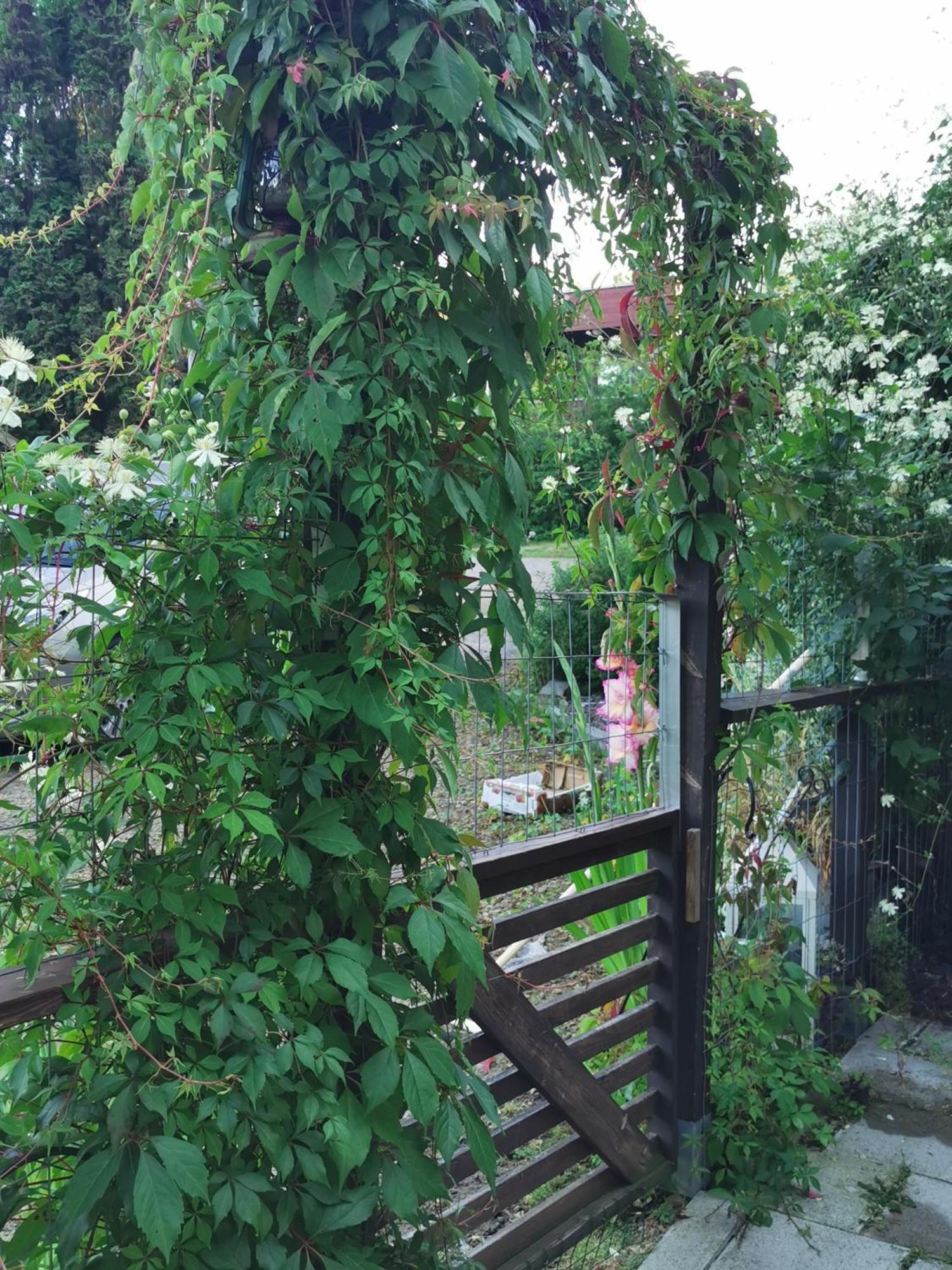 Guesthouse With Sauna Лахті Екстер'єр фото